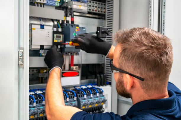 Best Ceiling Fan Installation Electrician  in Elroy, WI