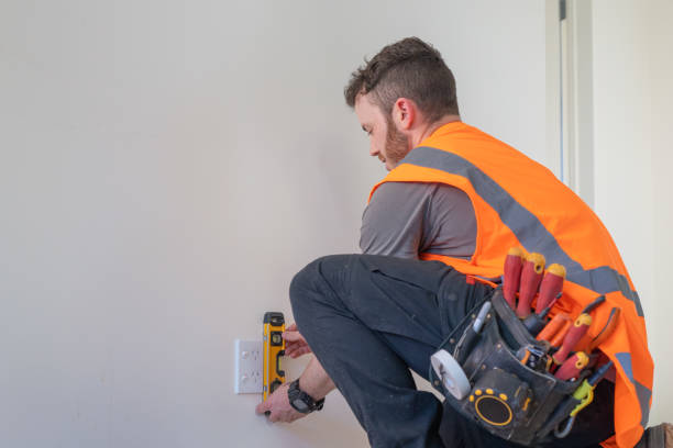 Best Electric Panel Repair  in Elroy, WI